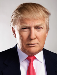 maar02-donald-trump-portrait